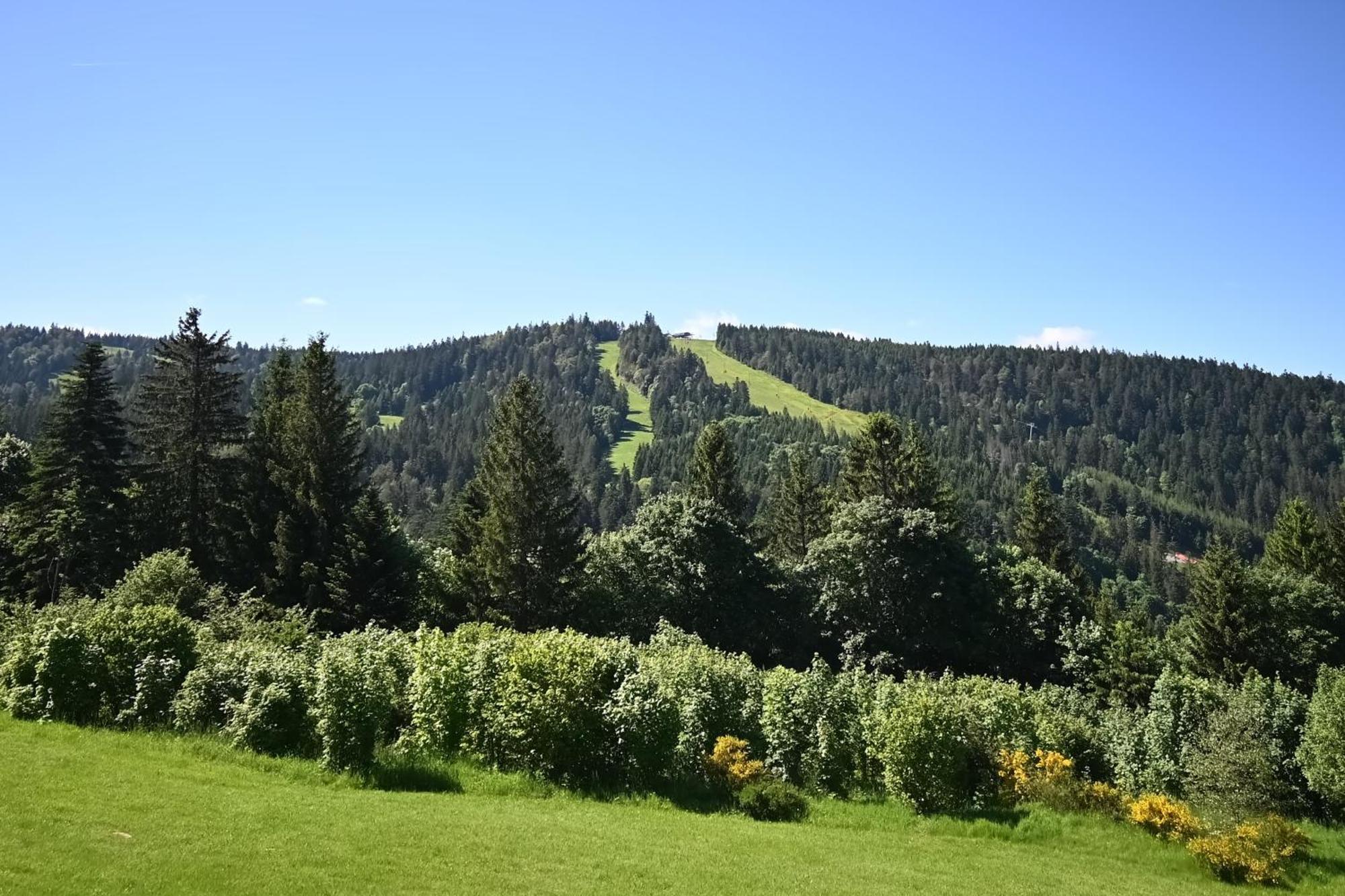 热拉梅Le Nid Des Vosges - Appt Vue Montagne公寓 外观 照片